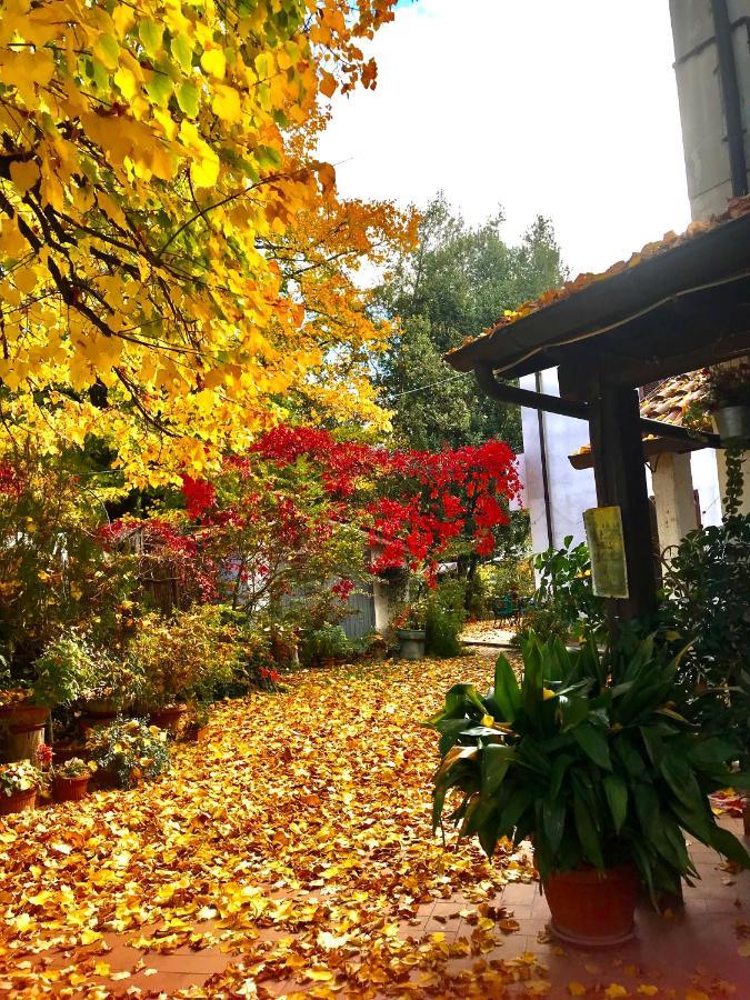 Stella Polare Bed & Breakfast