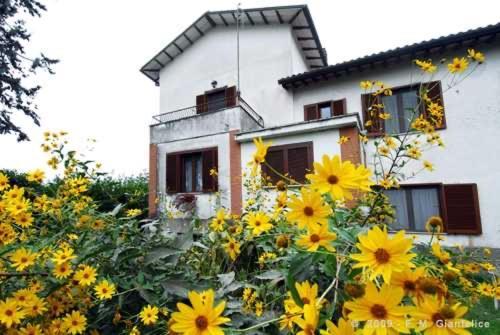 Stella Polare * Rieti